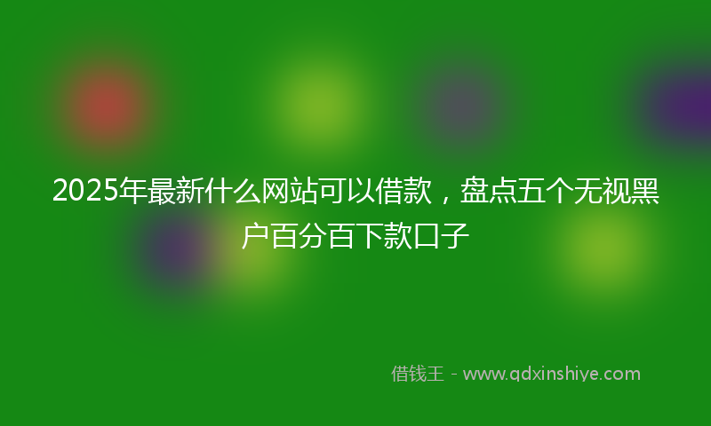 2025年最新什么网站可以借款，盘点五个无视黑户百分百下款口子