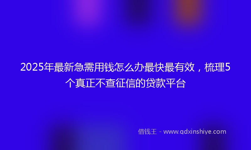 2025年最新急需用钱怎么办最快最有效，梳理5个真正不查征信的贷款平台