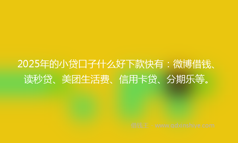 2025年的小贷口子什么好下款快有：微博借钱、读秒贷、美团生活费、信用卡贷、分期乐等。