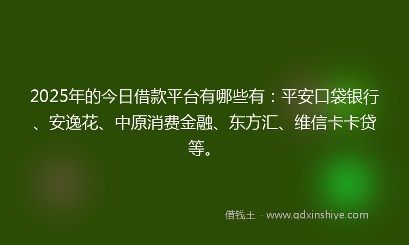 2025年的今日借款平台有哪些有：平安口袋银行、安逸花、中原消费金融、东方汇、维信卡卡贷等。
