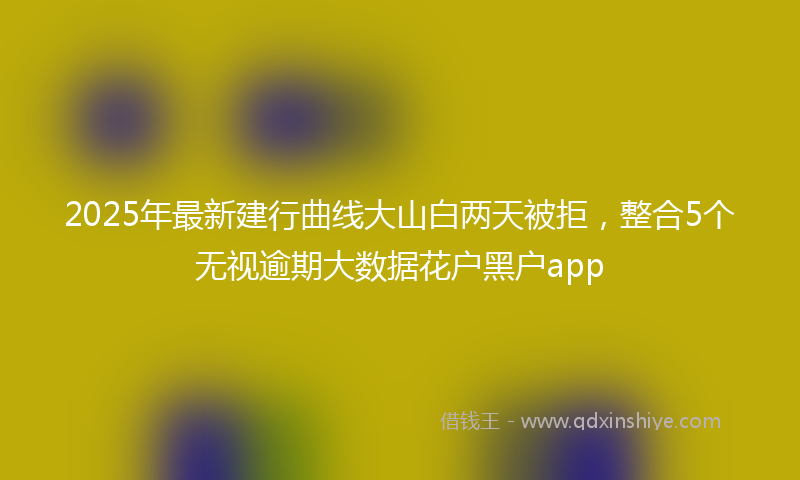 2025年最新建行曲线大山白两天被拒，整合5个无视逾期大数据花户黑户app