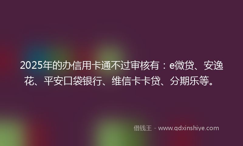 2025年的办信用卡通不过审核有：e微贷、安逸花、平安口袋银行、维信卡卡贷、分期乐等。