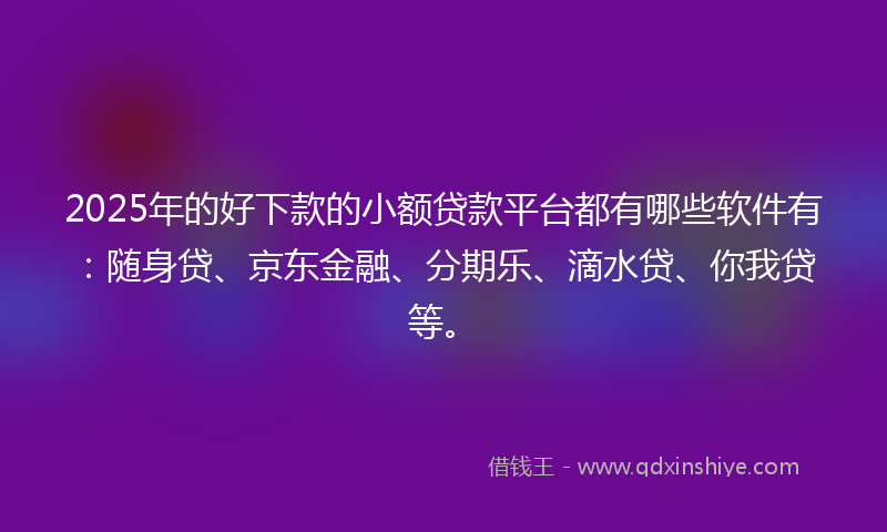 2025年的好下款的小额贷款平台都有哪些软件有：随身贷、京东金融、分期乐、滴水贷、你我贷等。