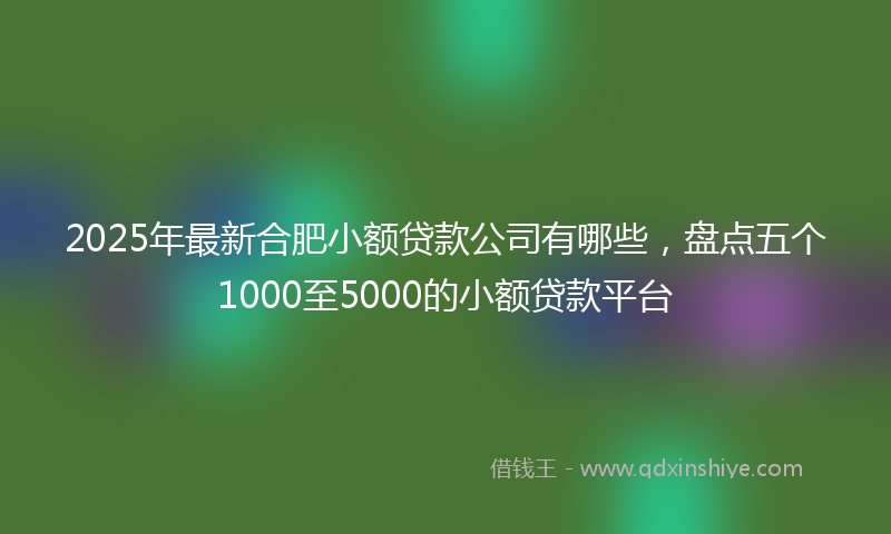 2025年最新合肥小额贷款公司有哪些，盘点五个1000至5000的小额贷款平台