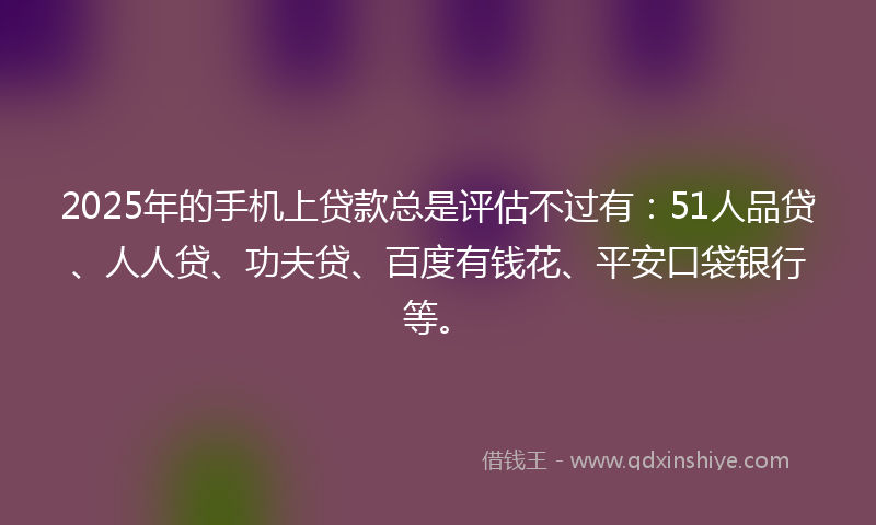 2025年的手机上贷款总是评估不过有：51人品贷、人人贷、功夫贷、百度有钱花、平安口袋银行等。