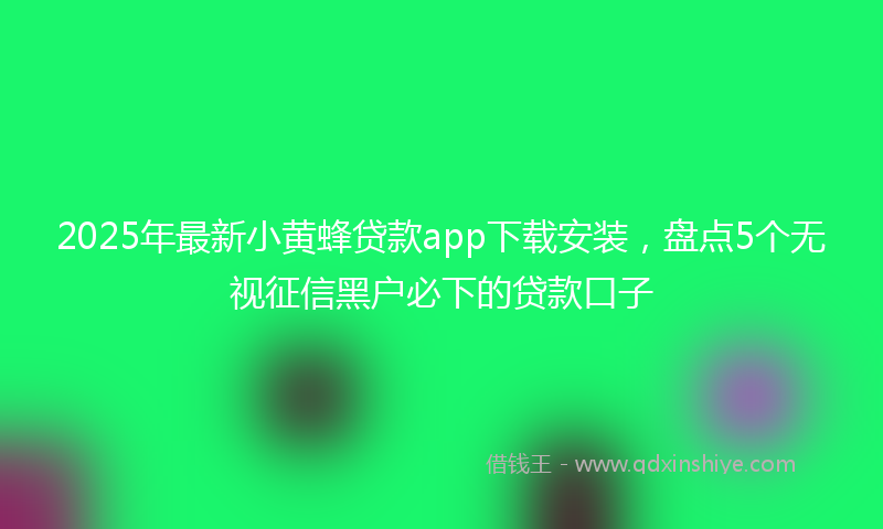 2025年最新小黄蜂贷款app下载安装，盘点5个无视征信黑户必下的贷款口子