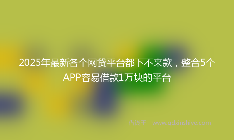 2025年最新各个网贷平台都下不来款，整合5个APP容易借款1万块的平台