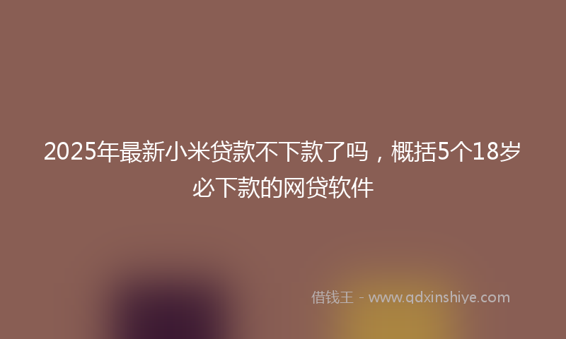 2025年最新小米贷款不下款了吗，概括5个18岁必下款的网贷软件