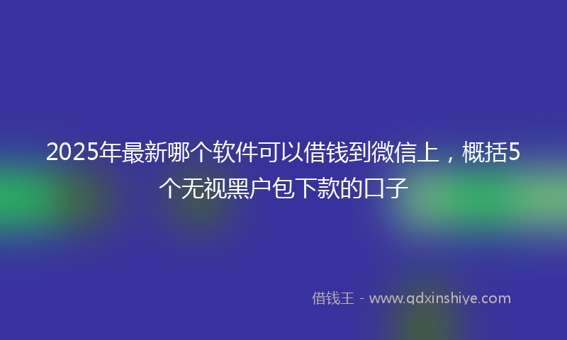 2025年最新哪个软件可以借钱到微信上，概括5个无视黑户包下款的口子