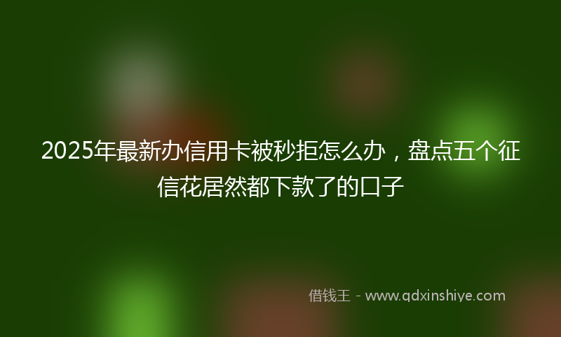 2025年最新办信用卡被秒拒怎么办，盘点五个征信花居然都下款了的口子