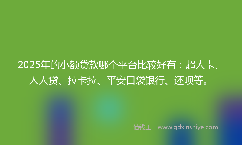 2025年的小额贷款哪个平台比较好有：超人卡、人人贷、拉卡拉、平安口袋银行、还呗等。