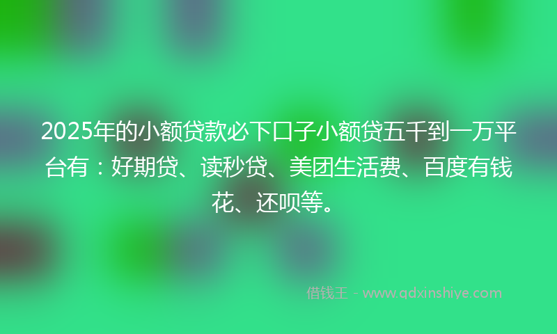 2025年的小额贷款必下口子小额贷五千到一万平台有：好期贷、读秒贷、美团生活费、百度有钱花、还呗等。