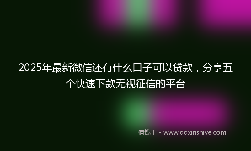 2025年最新微信还有什么口子可以贷款，分享五个快速下款无视征信的平台