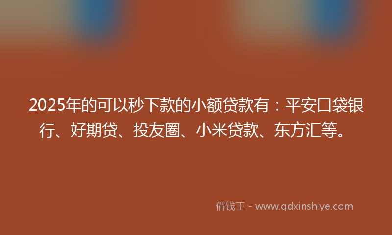 2025年的可以秒下款的小额贷款有：平安口袋银行、好期贷、投友圈、小米贷款、东方汇等。