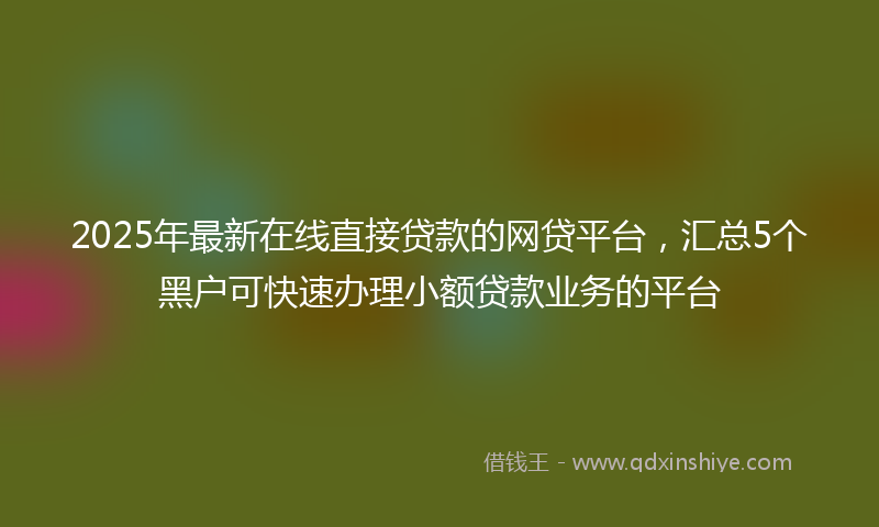 2025年最新在线直接贷款的网贷平台，汇总5个黑户可快速办理小额贷款业务的平台