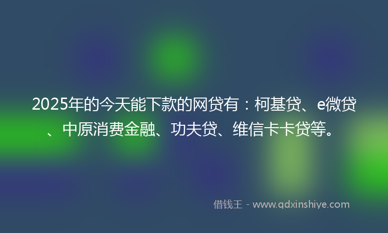 2025年的今天能下款的网贷有：柯基贷、e微贷、中原消费金融、功夫贷、维信卡卡贷等。