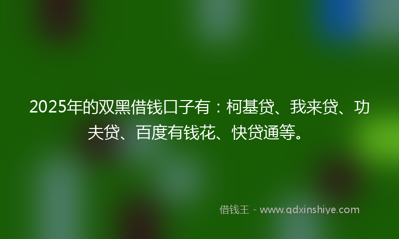 2025年的双黑借钱口子有：柯基贷、我来贷、功夫贷、百度有钱花、快贷通等。