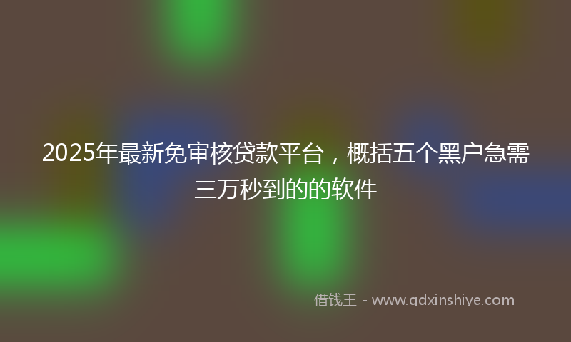 2025年最新免审核贷款平台，概括五个黑户急需三万秒到的的软件