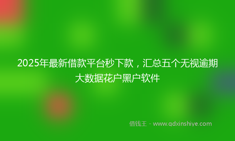 2025年最新借款平台秒下款，汇总五个无视逾期大数据花户黑户软件