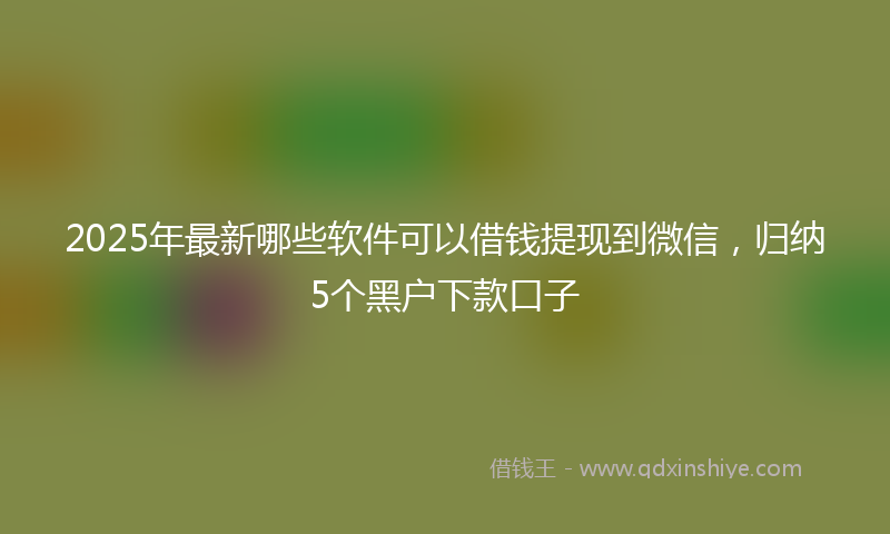 2025年最新哪些软件可以借钱提现到微信，归纳5个黑户下款口子