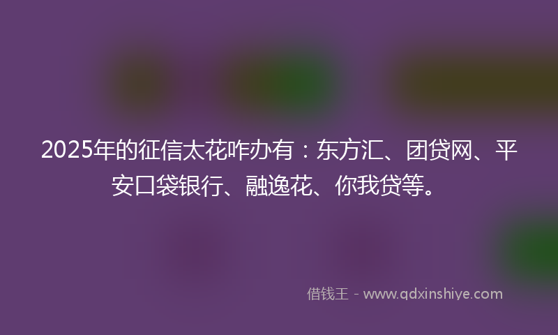 2025年的征信太花咋办有：东方汇、团贷网、平安口袋银行、融逸花、你我贷等。