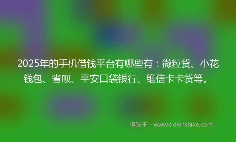 2025年的手机借钱平台有哪些有：微粒贷、小花钱包、省呗、平安口袋银行、维信卡卡贷等。