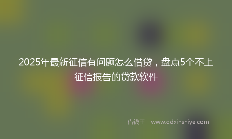 2025年最新征信有问题怎么借贷，盘点5个不上征信报告的贷款软件