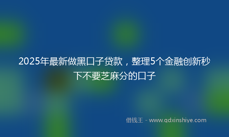 2025年最新做黑口子贷款，整理5个金融创新秒下不要芝麻分的口子
