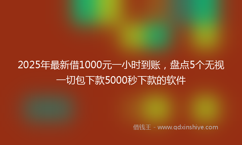 2025年最新借1000元一小时到账，盘点5个无视一切包下款5000秒下款的软件