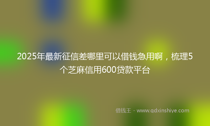 2025年最新征信差哪里可以借钱急用啊，梳理5个芝麻信用600贷款平台