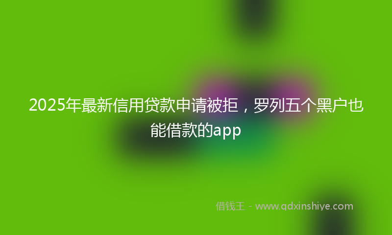 2025年最新信用贷款申请被拒，罗列五个黑户也能借款的app