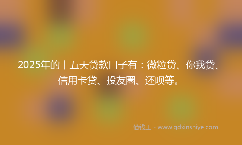 2025年的十五天贷款口子有：微粒贷、你我贷、信用卡贷、投友圈、还呗等。