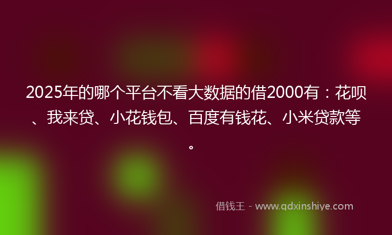 2025年的哪个平台不看大数据的借2000有：花呗、我来贷、小花钱包、百度有钱花、小米贷款等。