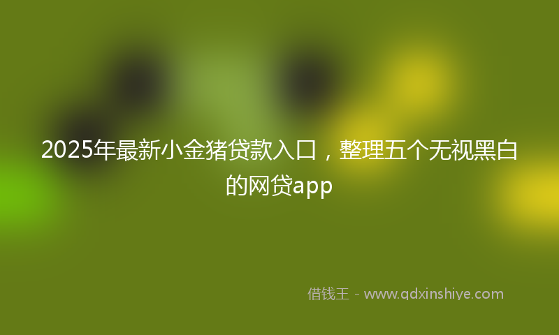 2025年最新小金猪贷款入口，整理五个无视黑白的网贷app