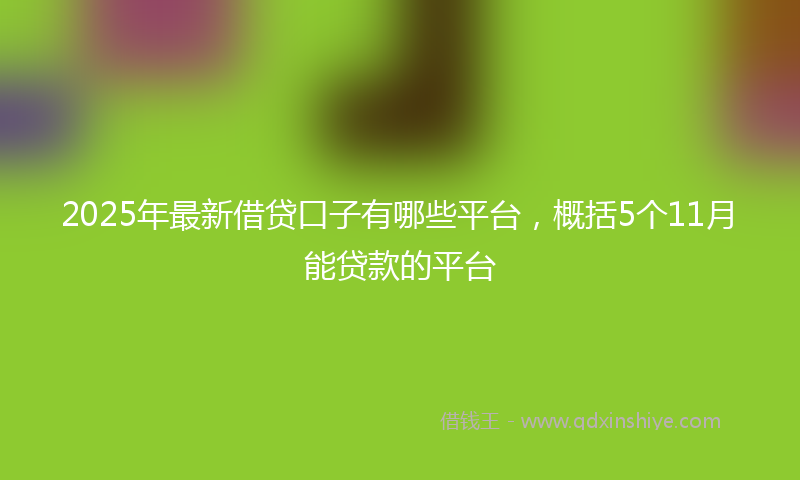 2025年最新借贷口子有哪些平台，概括5个11月能贷款的平台