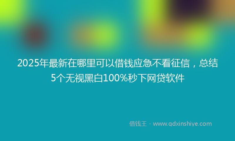 2025年最新在哪里可以借钱应急不看征信，总结5个无视黑白100%秒下网贷软件