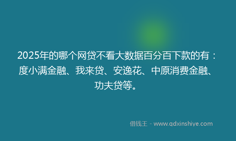 2025年的哪个网贷不看大数据百分百下款的有：度小满金融、我来贷、安逸花、中原消费金融、功夫贷等。