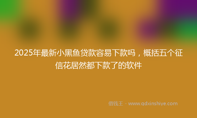 2025年最新小黑鱼贷款容易下款吗，概括五个征信花居然都下款了的软件