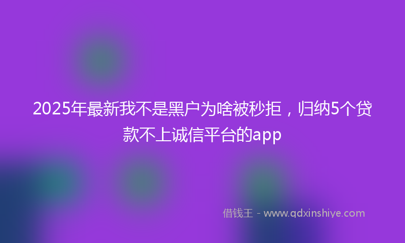 2025年最新我不是黑户为啥被秒拒，归纳5个贷款不上诚信平台的app