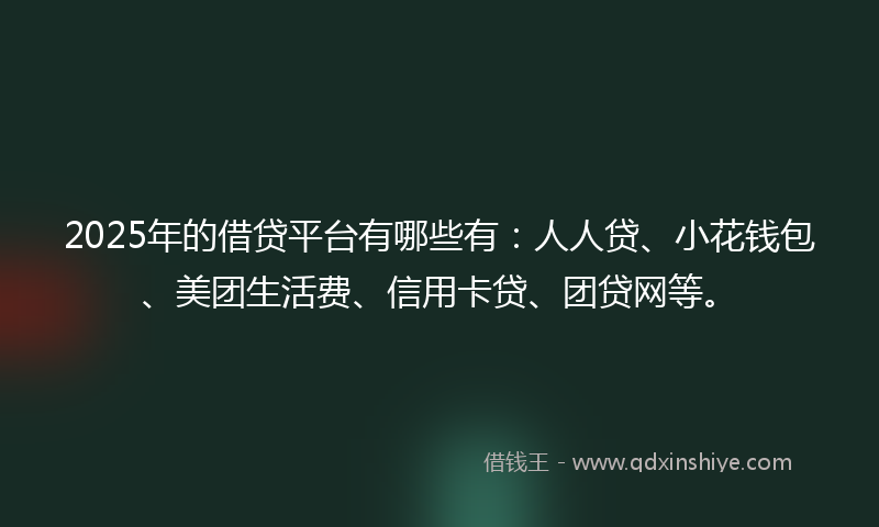 2025年的借贷平台有哪些有：人人贷、小花钱包、美团生活费、信用卡贷、团贷网等。