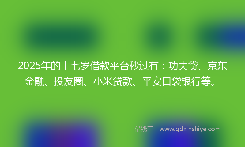 2025年的十七岁借款平台秒过有：功夫贷、京东金融、投友圈、小米贷款、平安口袋银行等。