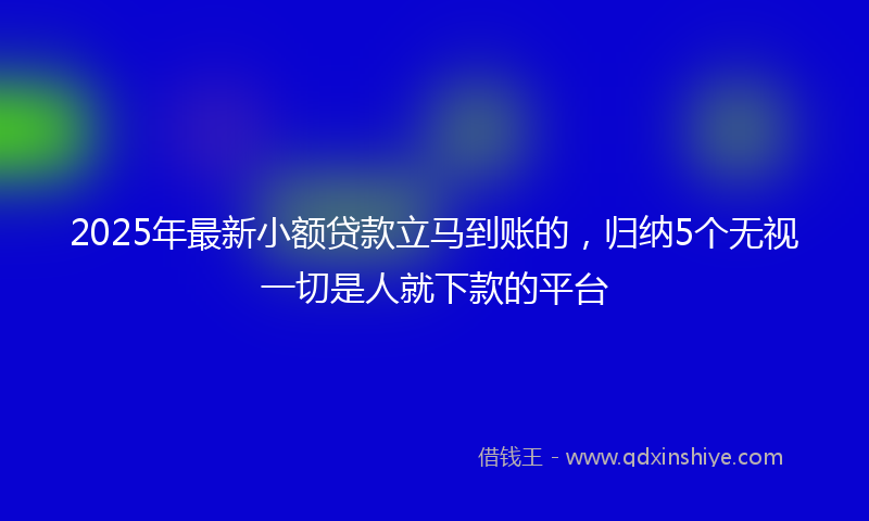 2025年最新小额贷款立马到账的，归纳5个无视一切是人就下款的平台