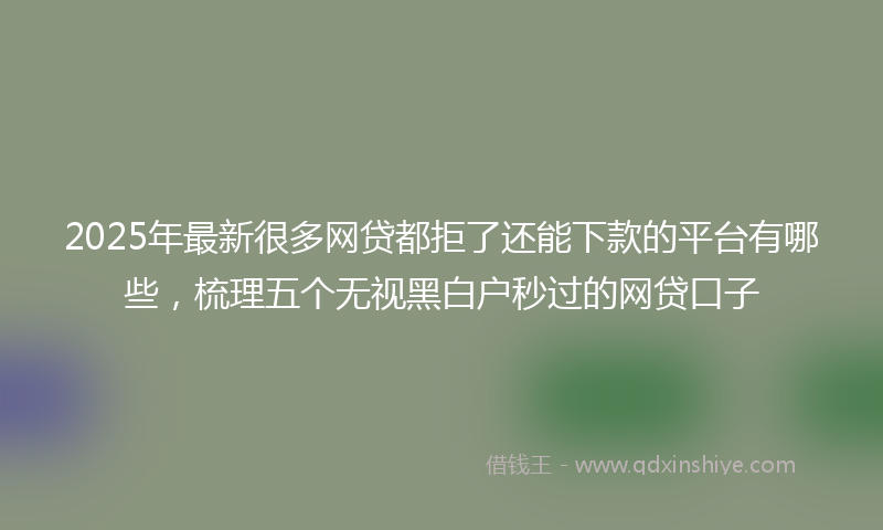 2025年最新很多网贷都拒了还能下款的平台有哪些，梳理五个无视黑白户秒过的网贷口子