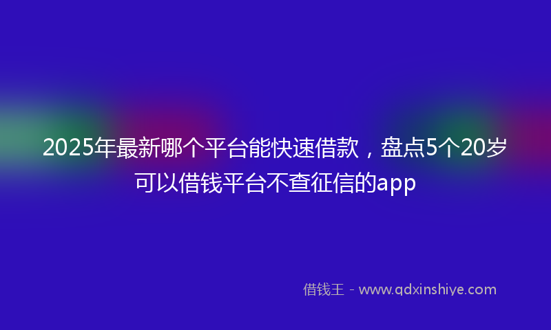 2025年最新哪个平台能快速借款，盘点5个20岁可以借钱平台不查征信的app