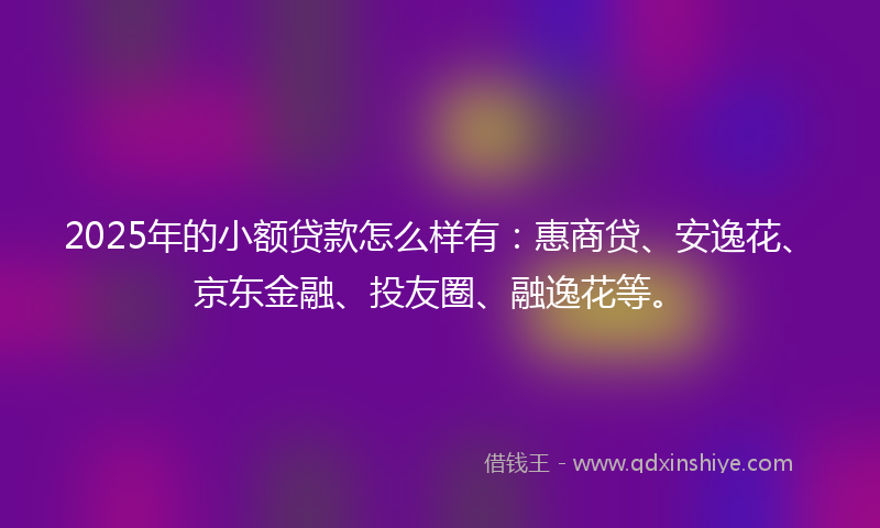 2025年的小额贷款怎么样有：惠商贷、安逸花、京东金融、投友圈、融逸花等。