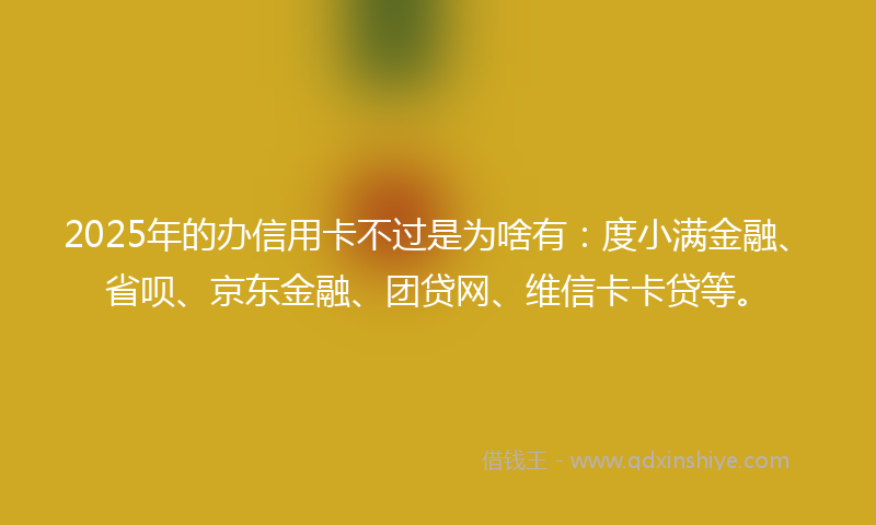 2025年的办信用卡不过是为啥有：度小满金融、省呗、京东金融、团贷网、维信卡卡贷等。