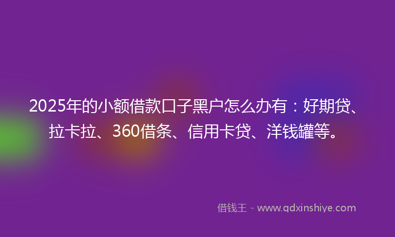 2025年的小额借款口子黑户怎么办有：好期贷、拉卡拉、360借条、信用卡贷、洋钱罐等。