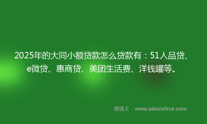 2025年的大同小额贷款怎么贷款有：51人品贷、e微贷、惠商贷、美团生活费、洋钱罐等。