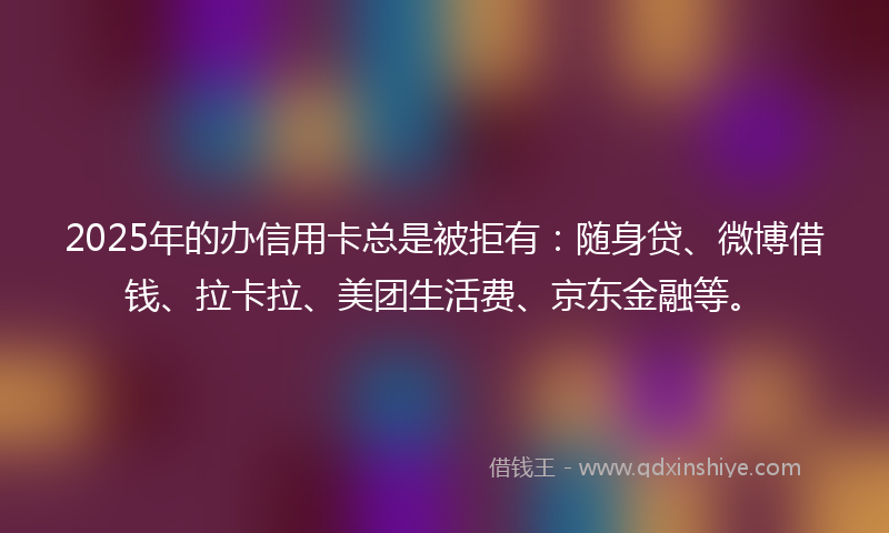 2025年的办信用卡总是被拒有：随身贷、微博借钱、拉卡拉、美团生活费、京东金融等。