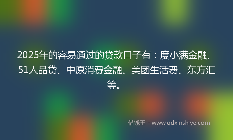 2025年的容易通过的贷款口子有：度小满金融、51人品贷、中原消费金融、美团生活费、东方汇等。